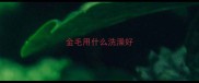 金毛用什么洗澡好