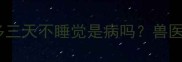 警惕拉布拉多三天不睡觉是病吗兽医异常行为全