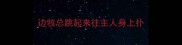 边牧总跳起来往主人身上扑