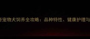 广州哈士奇宠物犬饲养全攻略品种特性健康护理与互动技巧