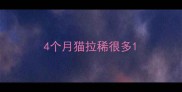 4个月猫拉稀很多