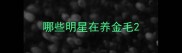 哪些明星在养金毛
