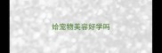给宠物美容好学吗