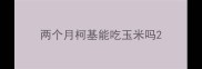 两个月柯基能吃玉米吗