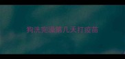 狗洗完澡第几天打疫苗