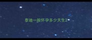 泰迪一般怀孕多少天生
