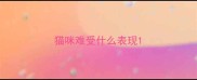 猫咪难受什么表现
