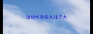 边牧怀孕多久肚子大