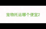 宠物托运哪个便宜