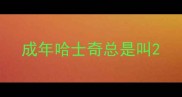 成年哈士奇总是叫