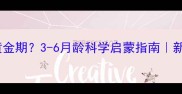 比特犬训练黄金期3-6月龄科学启蒙指南新手家长必看