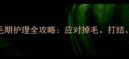 金毛换毛期多久换毛期护理全攻略应对掉毛打结皮肤问题的5大技巧