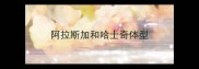 阿拉斯加和哈士奇体型