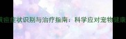 狗狗黄疸症状识别与治疗指南科学应对宠物健康危机