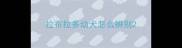 拉布拉多幼犬怎么辨别
