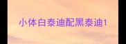 小体白泰迪配黑泰迪