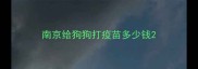 南京给狗狗打疫苗多少钱