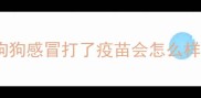 狗狗感冒打了疫苗会怎么样