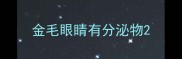 金毛眼睛有分泌物