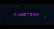 哈士奇得了胰腺炎