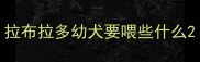 拉布拉多幼犬要喂些什么