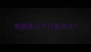 熊猫兔几个月能长大