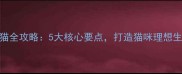 室内养猫全攻略5大核心要点打造猫咪理想生活空间