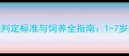 边境牧羊犬成犬判定标准与饲养全指南1-7岁关键成长期管理