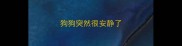 狗狗突然很安静了