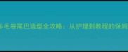 拉布拉多毛卷尾巴造型全攻略从护理到教程的保姆级指南