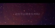 边牧可以喂食生肉吗