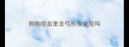 狗狗疫苗里含弓形虫免疫吗