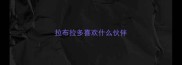 拉布拉多喜欢什么伙伴