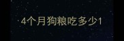 4个月狗粮吃多少