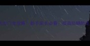 1个月大幼犬出门全攻略新手家长必看疫苗防晒防走失要点大公开