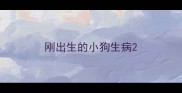 刚出生的小狗生病