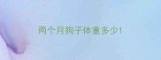 两个月狗子体重多少
