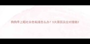 狗狗早上呕吐白色粘液怎么办5大原因及应对措施