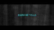 泰迪狗中暑了怎么办