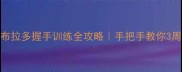 新手必看拉布拉多握手训练全攻略手把手教你3周教会狗狗握手