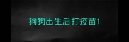狗狗出生后打疫苗