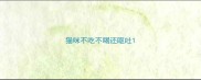 猫咪不吃不喝还呕吐