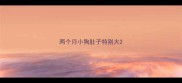 两个月小狗肚子特别大
