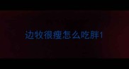 边牧很瘦怎么吃胖