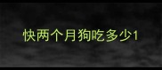 快两个月狗吃多少