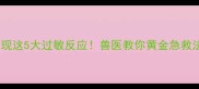 泰迪犬误食芒果后出现这5大过敏反应兽医教你黄金急救法则附症状对照表