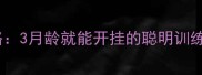 雪纳瑞幼犬训练全攻略3月龄就能开挂的聪明训练法附分月龄训练表