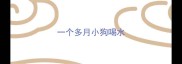 一个多月小狗喝水