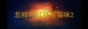 怎样可以驯服猫咪