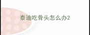 泰迪吃骨头怎么办